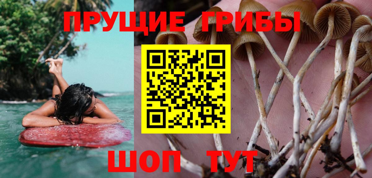 Псилоцибиновые грибы мухоморы Урай